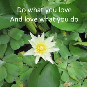 Natural Healing Energy - Six Consults (duration 40 mins)